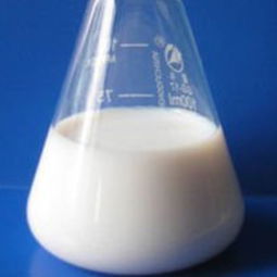 化學從業者的視角 羧基丁苯乳液的創新與應用價值